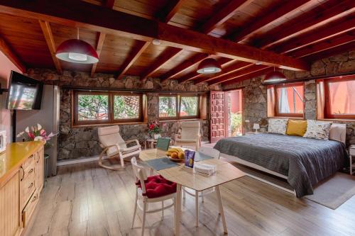 蓬塔德尔西达尔戈Papaya Cottage Punta del Hidalgo的一间卧室配有一张床和一张桌子