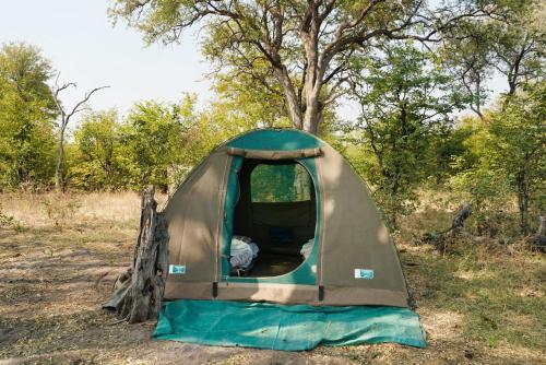 NgomaNahubwe Safari Lodge的树旁田野上的帐篷