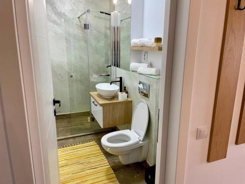 巴亚马雷Spacemax的一间带卫生间和玻璃淋浴间的浴室