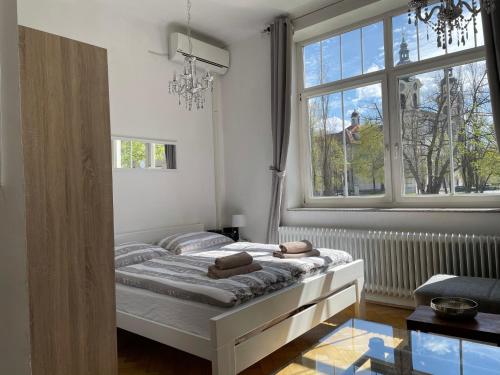 卢布尔雅那Apartments Katrca Ljubljana的一间卧室设有一张床和一个大窗户