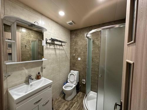 第比利斯5 Rooms near 300 Aragveli metro station的浴室配有卫生间、盥洗盆和淋浴。