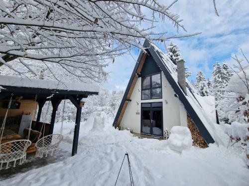 波卢巴库苏斯Forest A-frame-Porumbacu的雪覆盖着房子周围的雪地