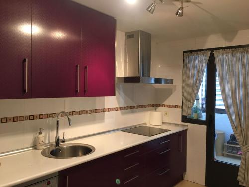 里亚萨Casa Adriego的厨房配有紫色橱柜和水槽