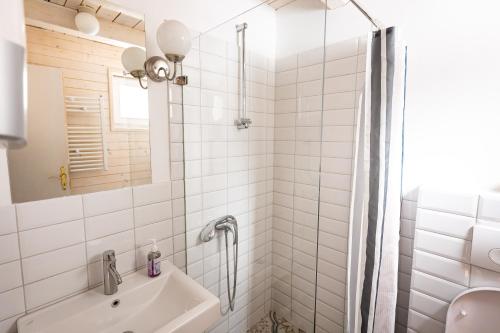 新瓦罗什ZlatAir Eco Chalet的带淋浴和盥洗盆的白色浴室