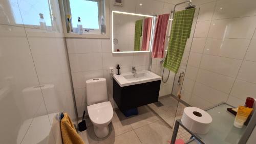 奥达Trolltunga Lodge的一间带水槽、卫生间和镜子的浴室