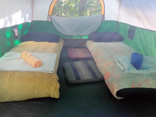 Ban KraisonWassana Camp & Khai Jungle Experience Centour的帐篷后面的两张床