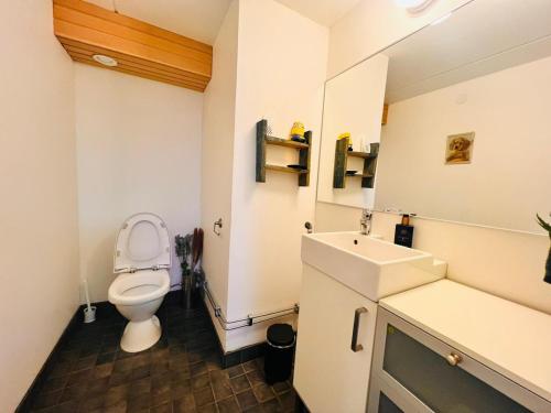 万塔Welcoming shared room with free parking and sauna的一间带卫生间和水槽的浴室
