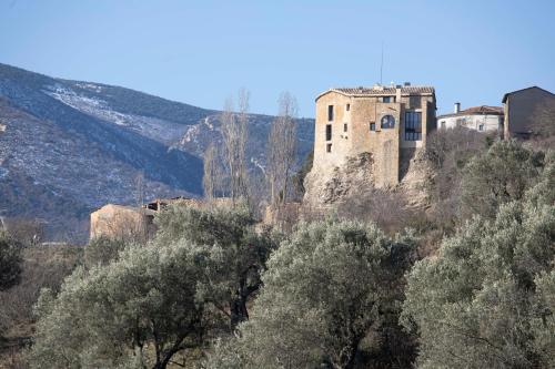 EstormCasa Sanui. Apartaments turístics rurals的一座树 ⁇ 的山顶上的古老建筑