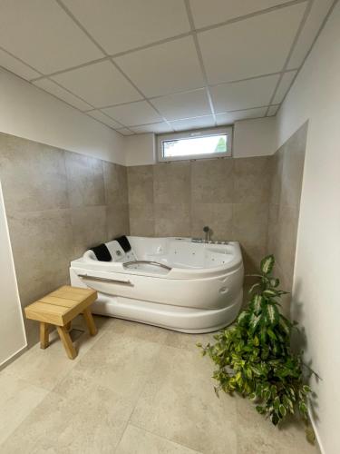 Sarród罗扎利亚温德哈兹旅馆的带浴缸的浴室和窗户
