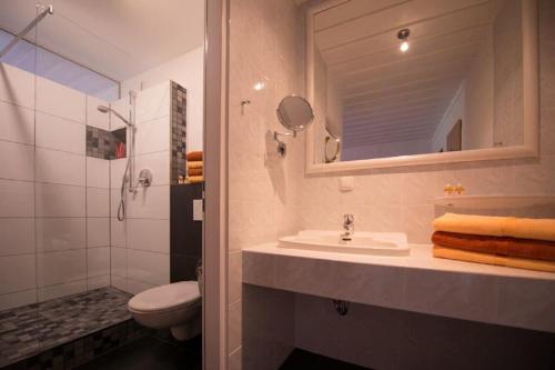 瓦尔德明兴弗兰肯磨酒店的一间带水槽、卫生间和镜子的浴室