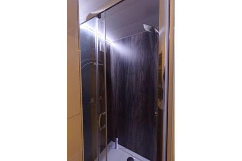 巴特Hausboot Fjord Vela mit Biosauna in Barth的一间带镜子和卫生间的淋浴的浴室