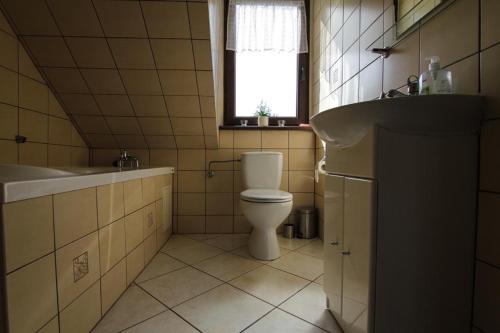 PilecChalupa Dejnowo的一间带卫生间、水槽和窗户的浴室