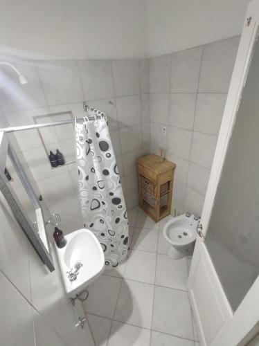 康考迪亚El Bicho Negro Hostel的一间带水槽、卫生间和淋浴的浴室