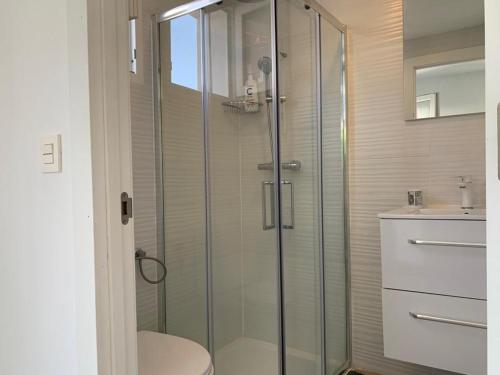昂代HENDAYE PLAGE (850m) APPARTEMENT 1-4 PERSONNES的带淋浴、卫生间和盥洗盆的浴室