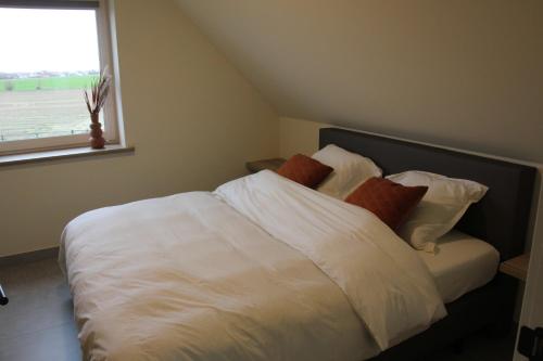MangelaarDe Romanie的卧室配有带枕头的白色床和窗户。