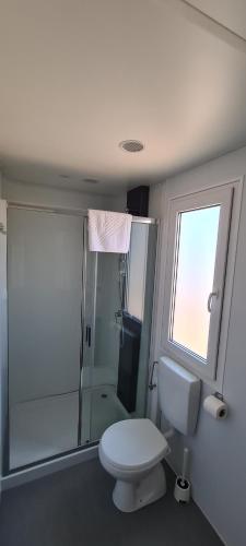伊穆尼Mobilna kućica Val的一间带卫生间和淋浴及窗户的浴室
