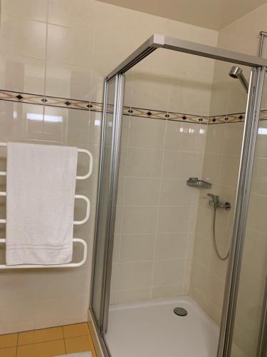 洛桑City appartement的浴室里设有玻璃门淋浴