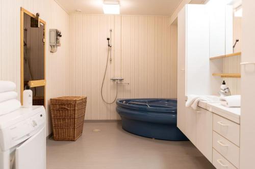 埃克奈斯In the old city of Tammisaari by the shore的浴室配有蓝色卫生间和淋浴。