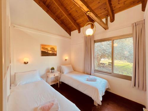Sede Eli‘ezerאיתן בקתות עץ Eitan Wood Cabins Resort的带窗户的客房内的两张床