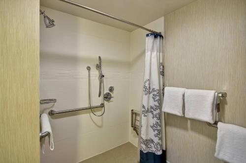列克星敦列克星敦汉堡广场原住客栈的带淋浴和浴帘的浴室