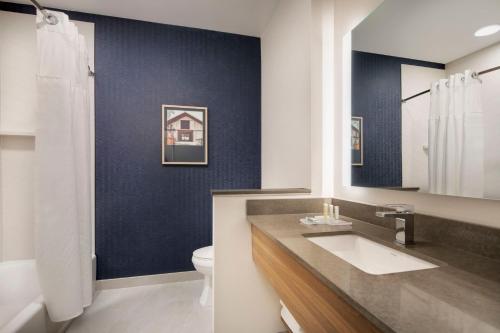 富兰克林Fairfield by Marriott Inn & Suites Franklin Cool Springs的一间带水槽和卫生间的浴室