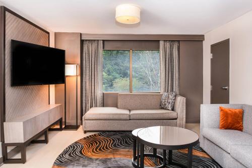 罗宾逊镇万豪酒店匹兹堡机场店的带沙发和电视的客厅