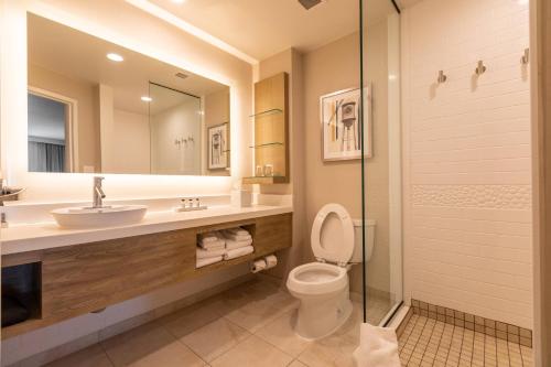 达拉姆Delta Hotels by Marriott Raleigh-Durham at Research Triangle Park的浴室配有卫生间、盥洗盆和淋浴。