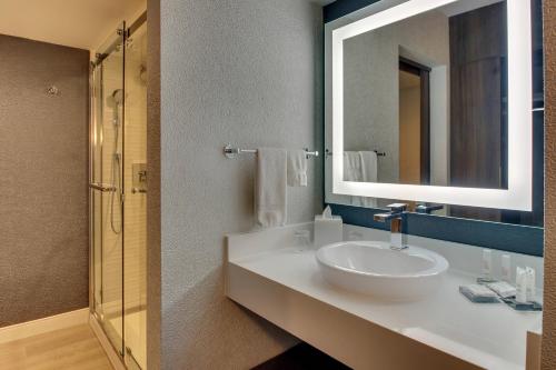 亨茨维尔亨茨维尔太空和火箭中心万豪酒店的一间带水槽和镜子的浴室