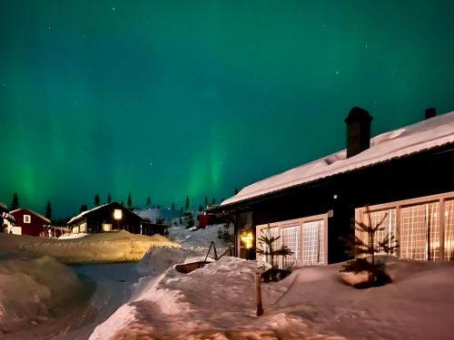 海姆瑟达尔Great cabin in Hemsedal wifi golf ski eldorado的天空中一幅房子上的极光图
