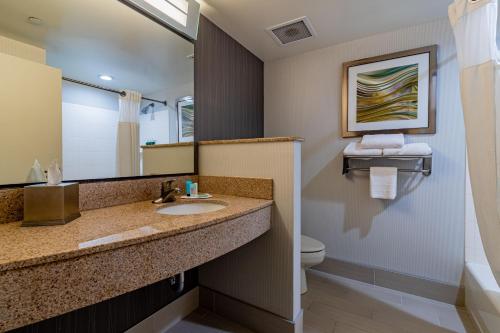 布伦瑞克布朗维克万怡酒店的一间带水槽、卫生间和镜子的浴室