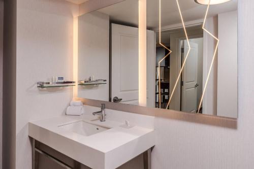 匹兹堡匹兹堡奥克兰/大学广场万豪原住酒店的一间带水槽和镜子的浴室