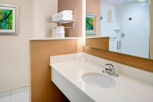 弗拉格斯塔夫弗拉格斯塔夫东万豪酒店的一间带水槽和镜子的浴室