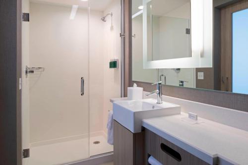 东兰辛SpringHill Suites by Marriott East Lansing University Area, Lansing Area的浴室配有盥洗盆和带镜子的淋浴
