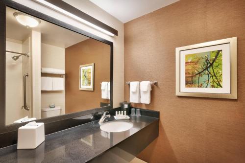 爱达荷福尔斯爱达荷福尔斯费尔菲尔德客栈的一间带水槽和大镜子的浴室