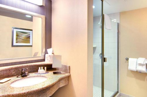 罗切斯特罗切斯特梅奥医学中心区区/圣玛丽万怡酒店的一间带水槽和淋浴的浴室