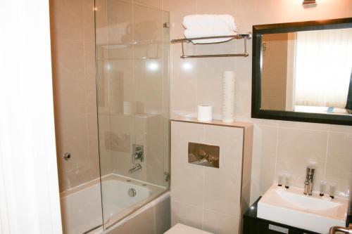 伦敦克伦威尔国际酒店的带淋浴、盥洗盆和卫生间的浴室