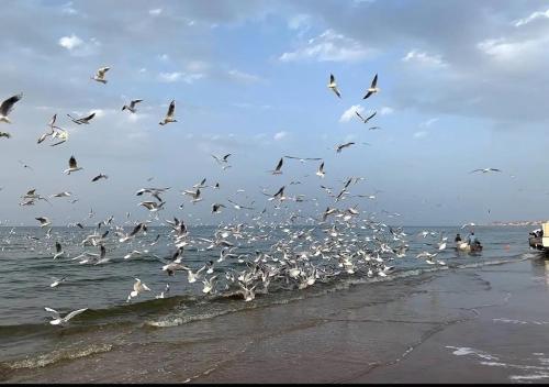 Muscat Homestay & Hospitality