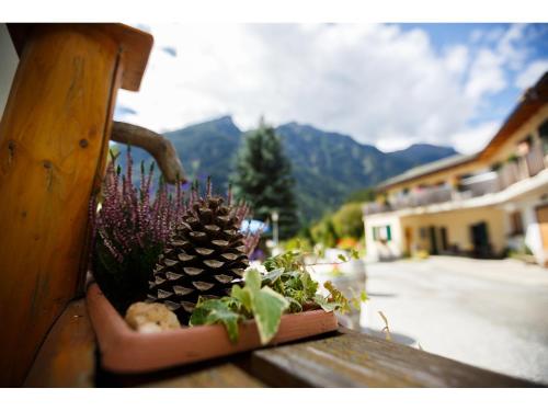 布鲁西奥米拉瓦利农庄酒店的坐在长凳上的盆栽植物群