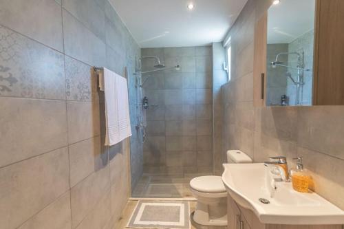 帕萨里迪Kos Helios House的浴室配有卫生间、盥洗盆和淋浴。