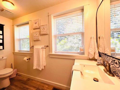 温哥华Cozy home, park VIEW. Minutes from PDX! AC的一间带水槽和卫生间的浴室以及窗户。