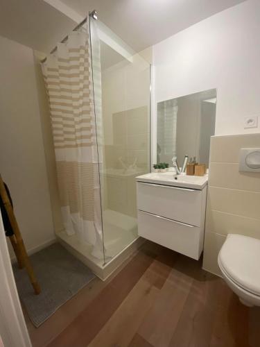蒙贝利亚尔Appartements du Château的带淋浴、盥洗盆和卫生间的浴室