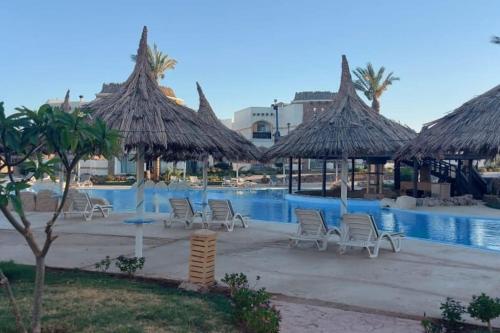 沙姆沙伊赫basic 2 bedroom apartment的度假酒店的游泳池配有椅子和遮阳伞