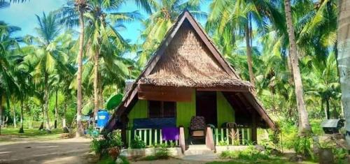 爱妮岛Tay Delings place的棕榈树前的小房子