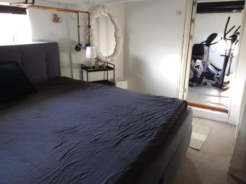 罗斯基勒Københavnsvej的一间卧室配有一张床、镜子和跑步机