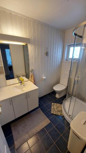 MefjordværCozy Apartment between sea and mountains的一间带水槽、淋浴和卫生间的浴室