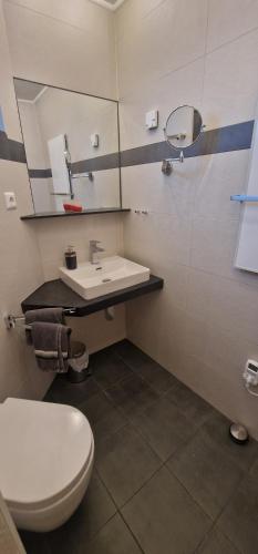 埃恩鲁赫VivaNatura Eifelferienhaus的浴室配有白色卫生间和盥洗盆。