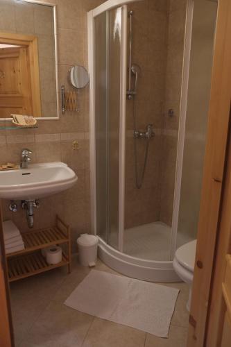 采尔克诺Farm Pri Flandru的带淋浴和盥洗盆的浴室