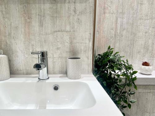 斯旺西Gorgeous Newly Renovated 2 Double Bed Flat的植物浴室内的白色水槽