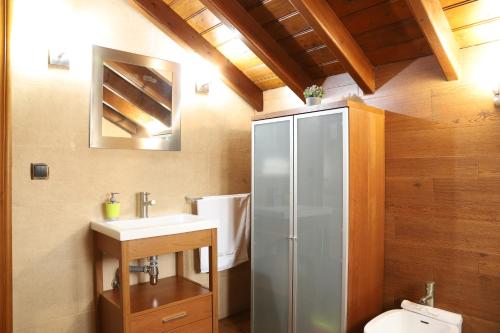 索拉雷斯Apartamentos Villa Fresnedo的带淋浴、盥洗盆和卫生间的浴室