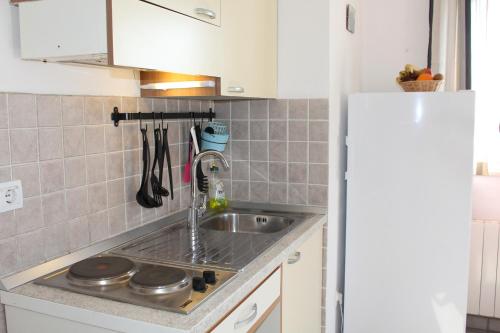 Verunić柳珊瑚公寓酒店的厨房配有水槽和台面